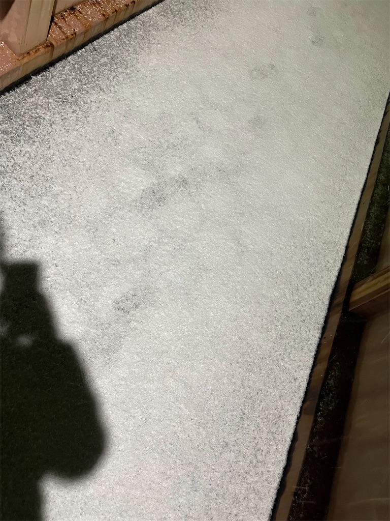 f:id:may-cat:20221223234100j:image f:id:may-cat:20221223234100j:image