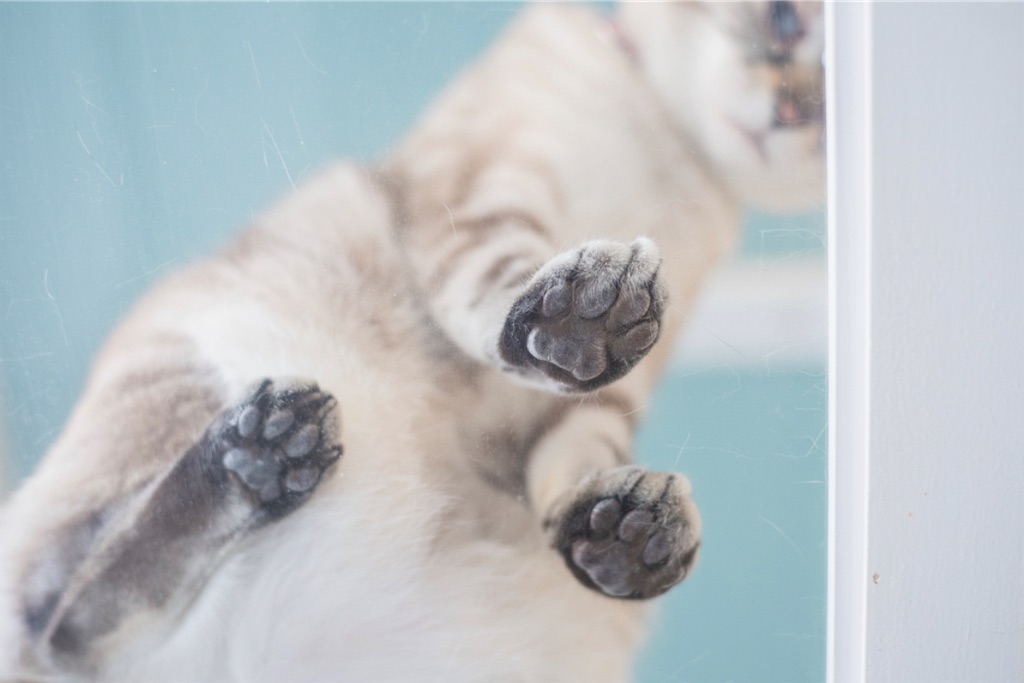 f:id:may-cat:20230208225345j:image f:id:may-cat:20230208225345j:image