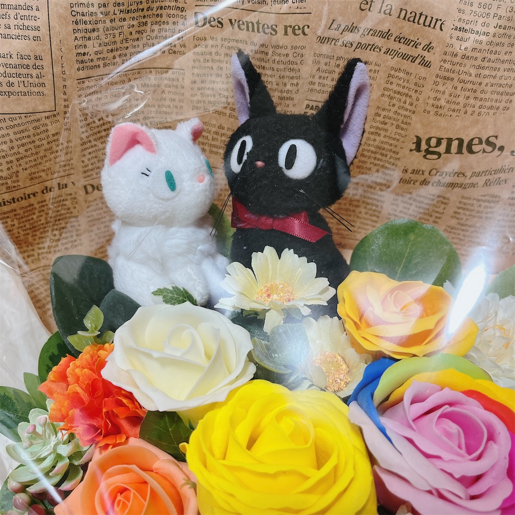 f:id:may-cat:20230315232006j:image f:id:may-cat:20230315232006j:image