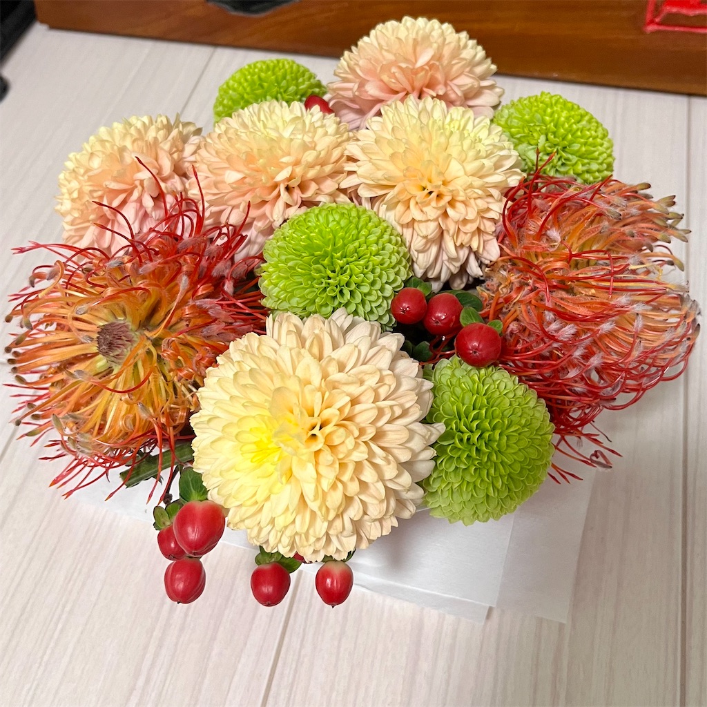 f:id:may-cat:20231112205629j:image f:id:may-cat:20231112205629j:image