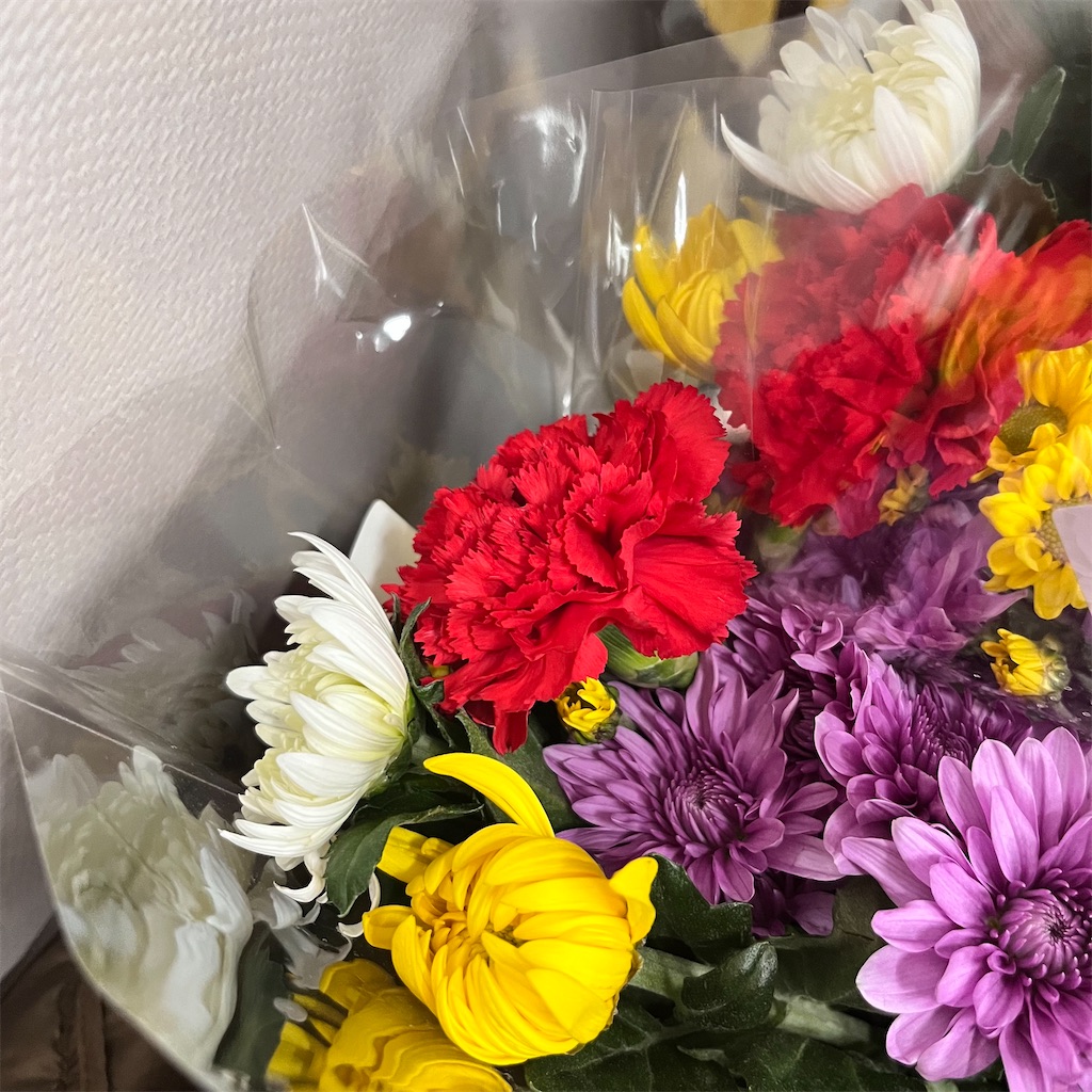 f:id:may-cat:20231125175622j:image