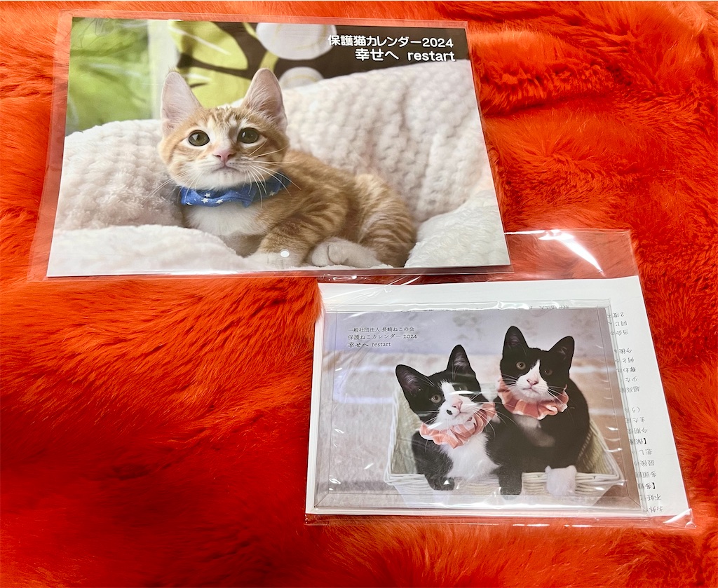 f:id:may-cat:20231208223405j:image f:id:may-cat:20231208223405j:image