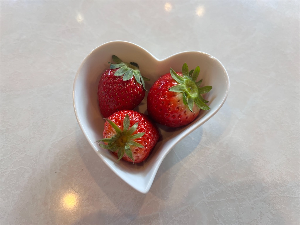 f:id:may-cat:20240309210712j:image f:id:may-cat:20240309210712j:image