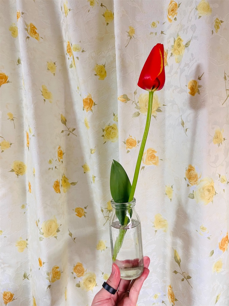 f:id:may-cat:20240401202057j:image