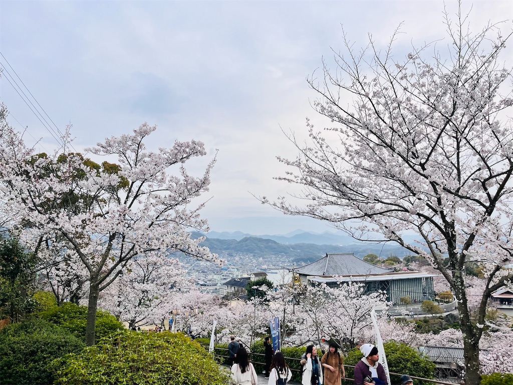 f:id:may-cat:20240407205150j:image