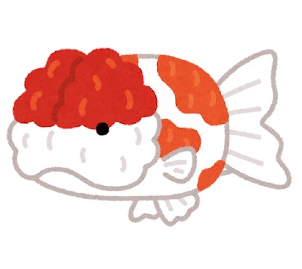 f:id:may-cat:20240510203656j:image f:id:may-cat:20240510203656j:image