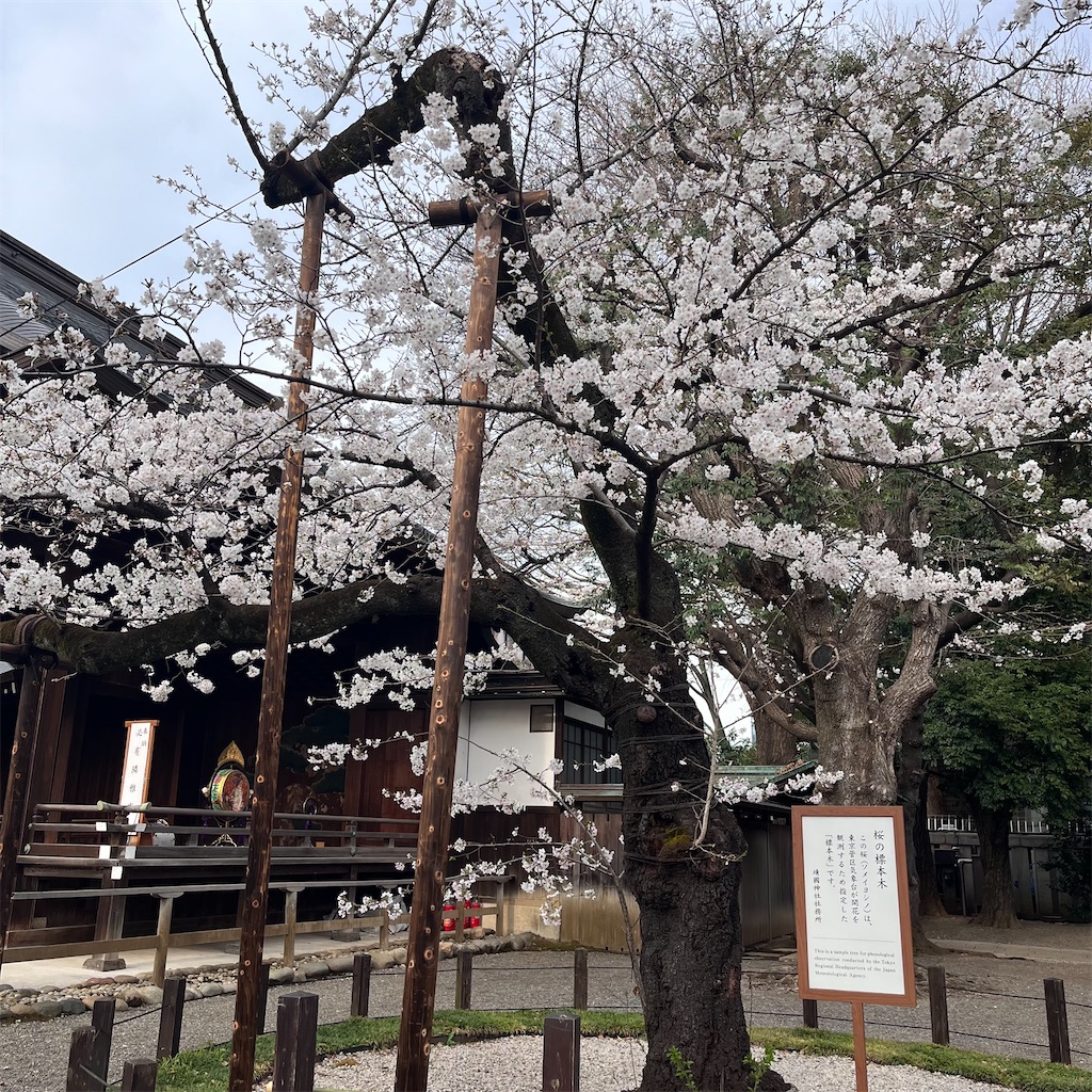 f:id:may-cat:20250328214745j:image