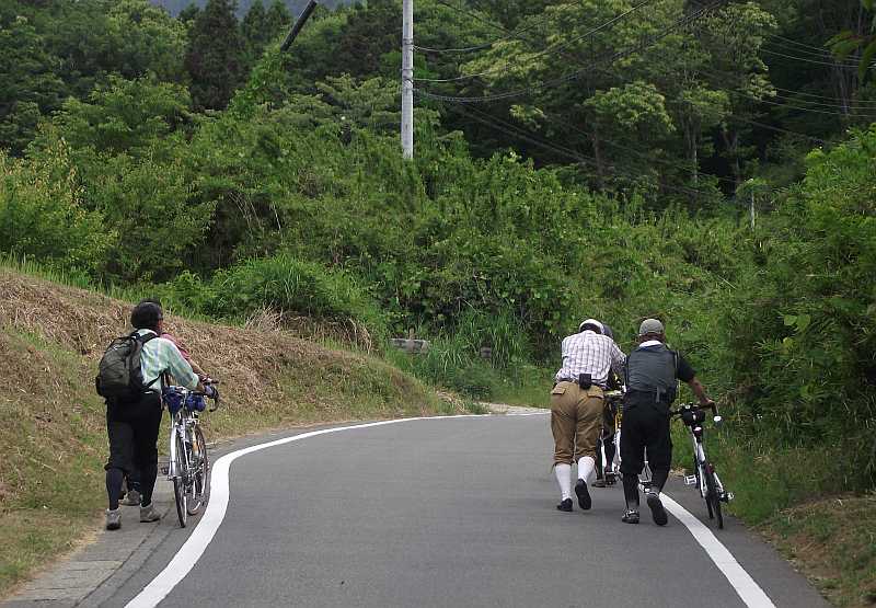 f:id:may-musashino:20130608094321j:image:w360:left