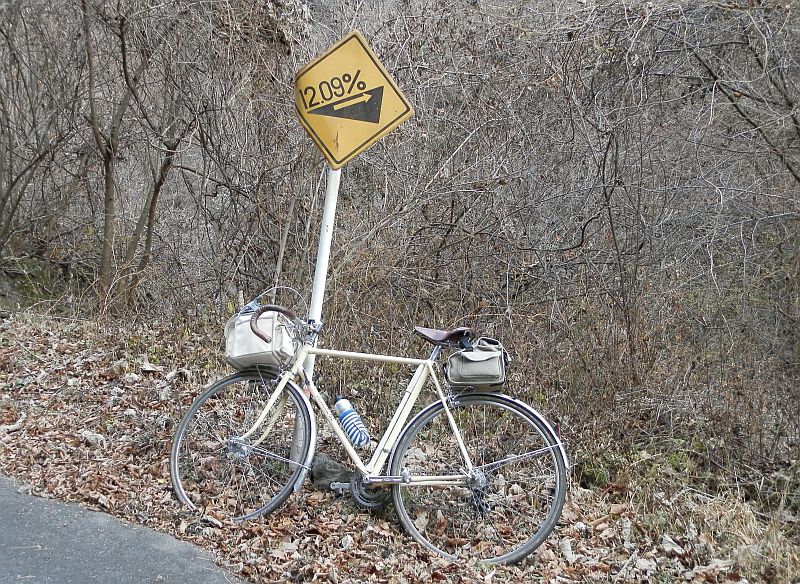 f:id:may-musashino:20131207121554j:image:w360:left f:id:may-musashino:20131207121554j:image:w360:left