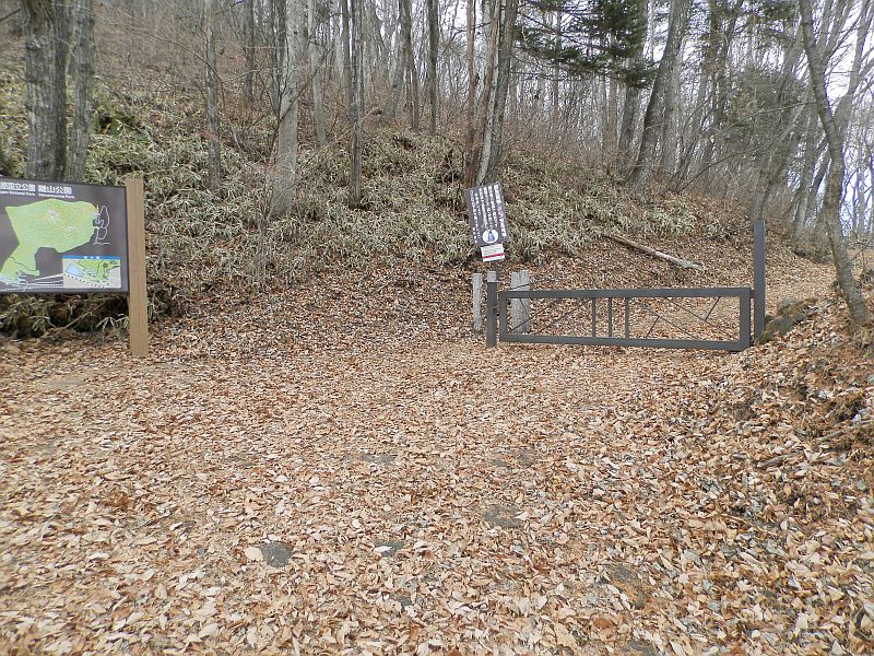 f:id:may-musashino:20131208123530j:image:w640 f:id:may-musashino:20131208123530j:image:w640