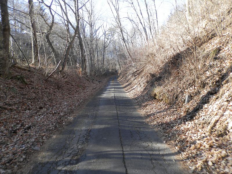 f:id:may-musashino:20131208131518j:image:w640 f:id:may-musashino:20131208131518j:image:w640