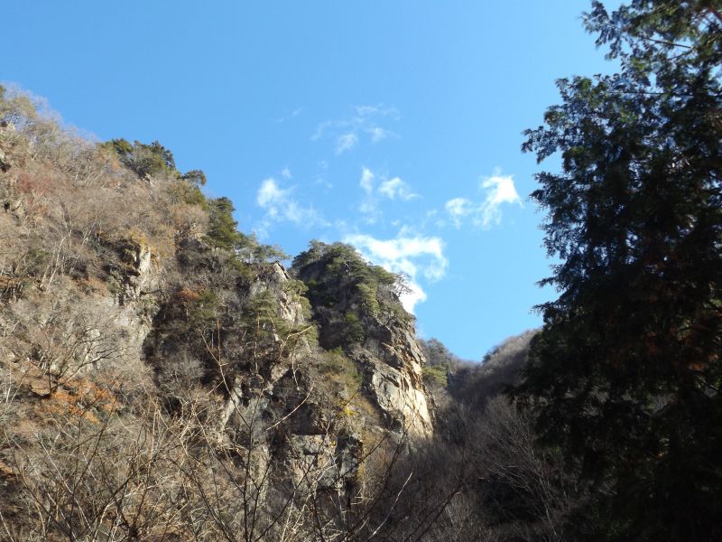 f:id:may-musashino:20141206112012j:image:w640