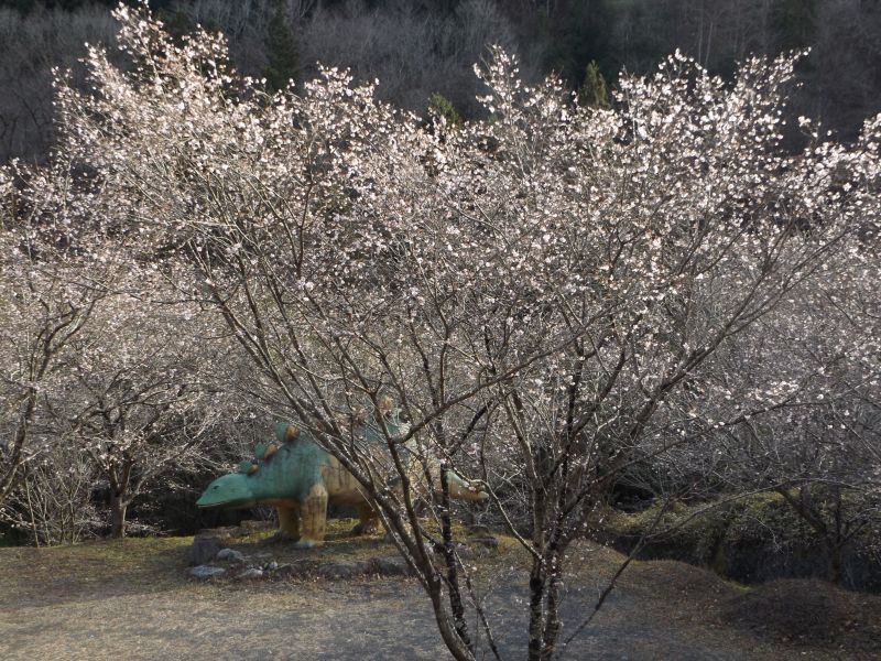 f:id:may-musashino:20141206141648j:image:w640