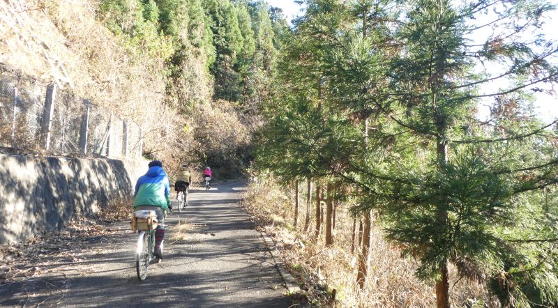 f:id:may-musashino:20181223204755j:image:w640 f:id:may-musashino:20181223204755j:image:w640