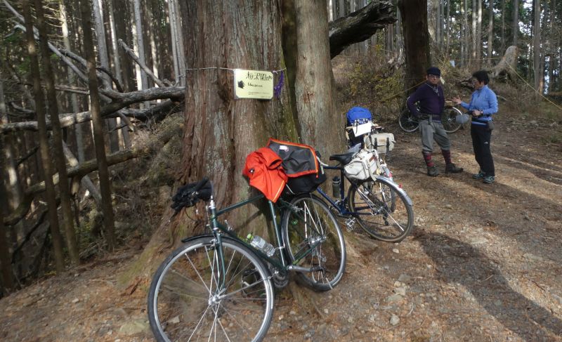 f:id:may-musashino:20181223205137j:image:w640 f:id:may-musashino:20181223205137j:image:w640