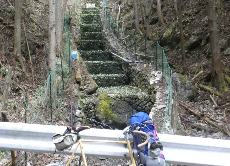 f:id:may-musashino:20181223205140j:image:w640 f:id:may-musashino:20181223205140j:image:w640