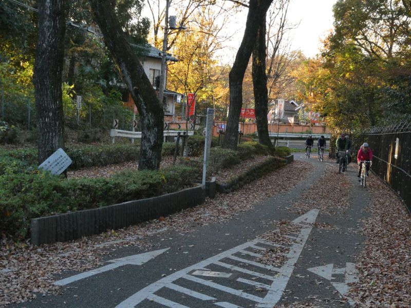 f:id:may-musashino:20201130154206j:plain