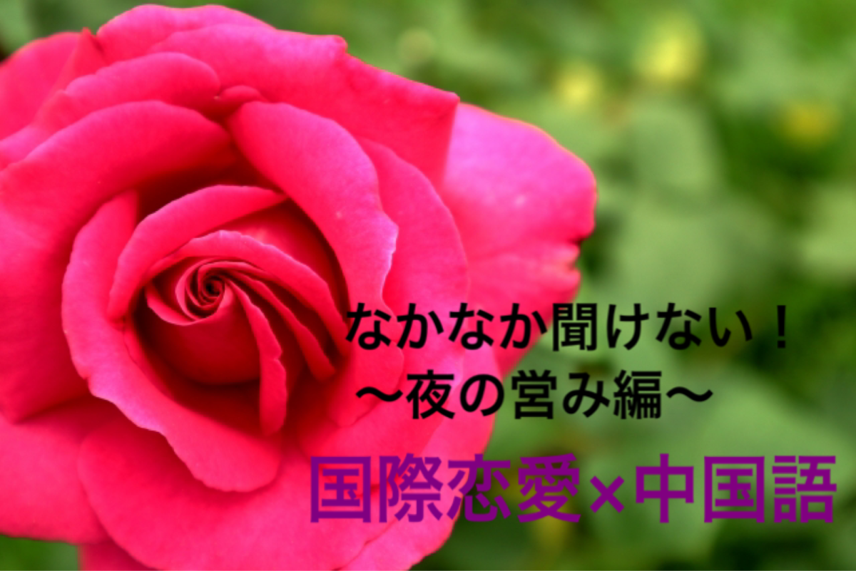 若いって素敵 ひと目を気にせずギュギュギュ 抱く 抱 今すぐ中国語