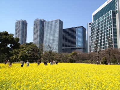 f:id:may22:20120405112344j:image f:id:may22:20120405112344j:image