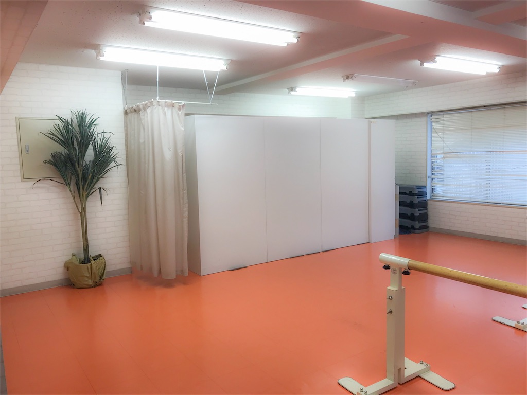 f:id:may_hula:20190208012046j:image