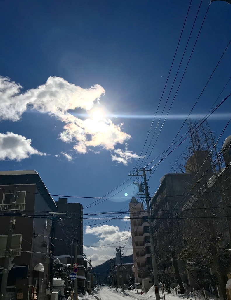 f:id:may_hula:20190214142124j:plain f:id:may_hula:20190214142124j:plain