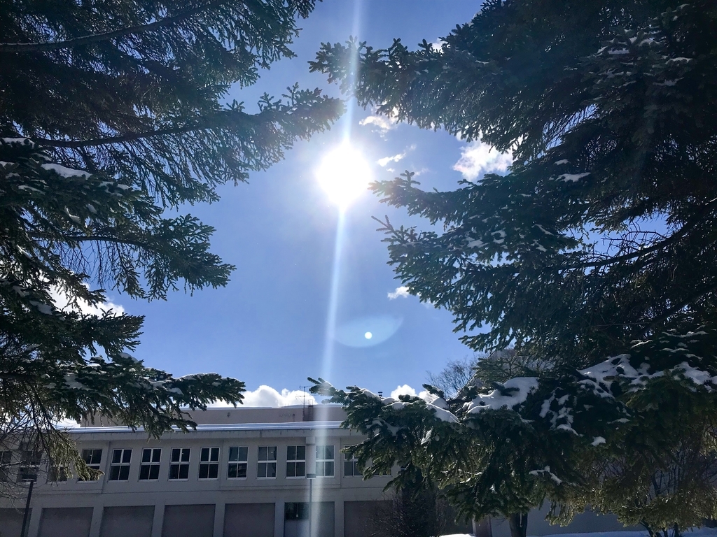 f:id:may_hula:20190214142140j:plain f:id:may_hula:20190214142140j:plain