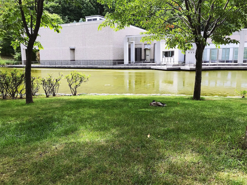 f:id:may_hula:20190701235452j:image f:id:may_hula:20190701235452j:image