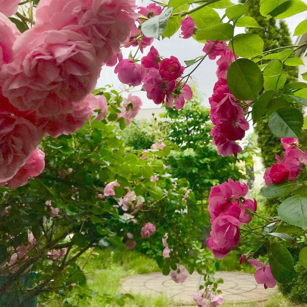 f:id:may_hula:20190708231727j:image