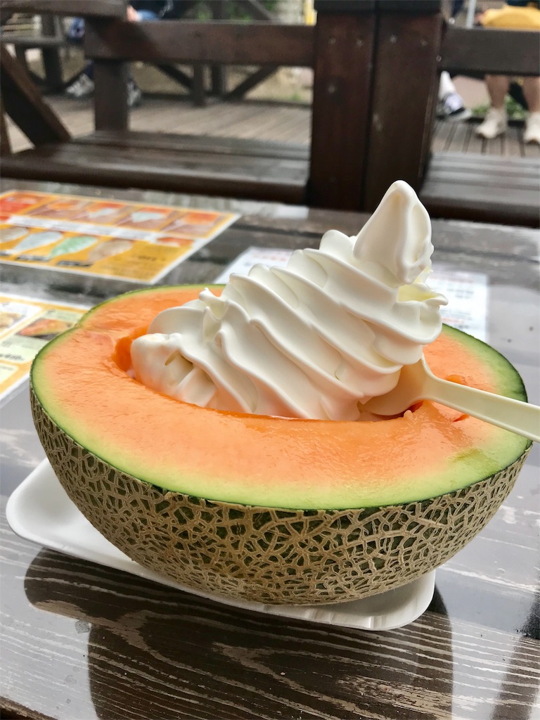 f:id:may_hula:20190721155345j:image f:id:may_hula:20190721155345j:image