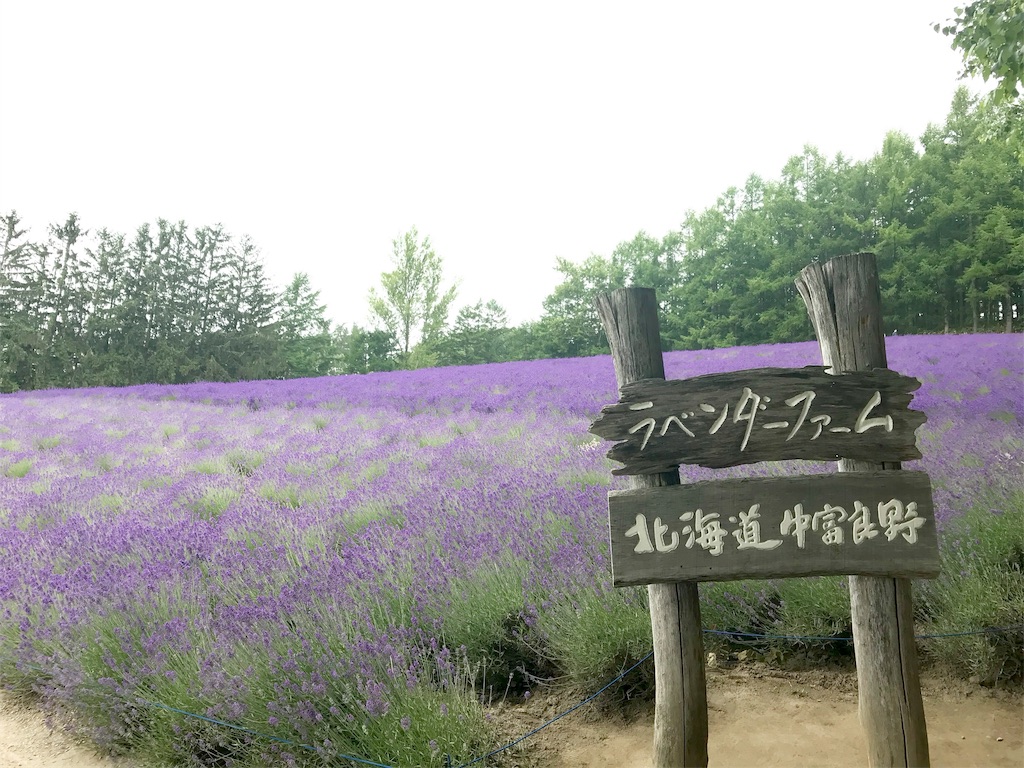 f:id:may_hula:20190721155356j:image f:id:may_hula:20190721155356j:image