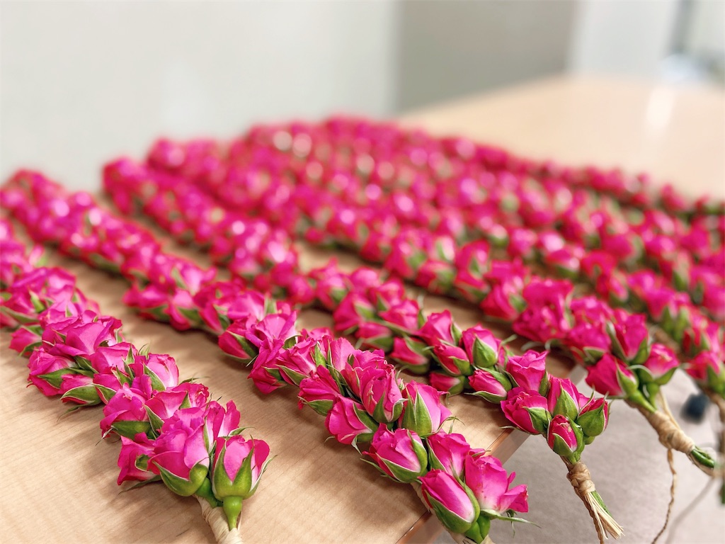 f:id:may_hula:20191027212000j:image f:id:may_hula:20191027212000j:image