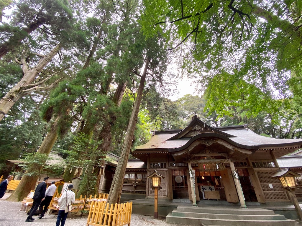 f:id:may_hula:20191028235209j:image