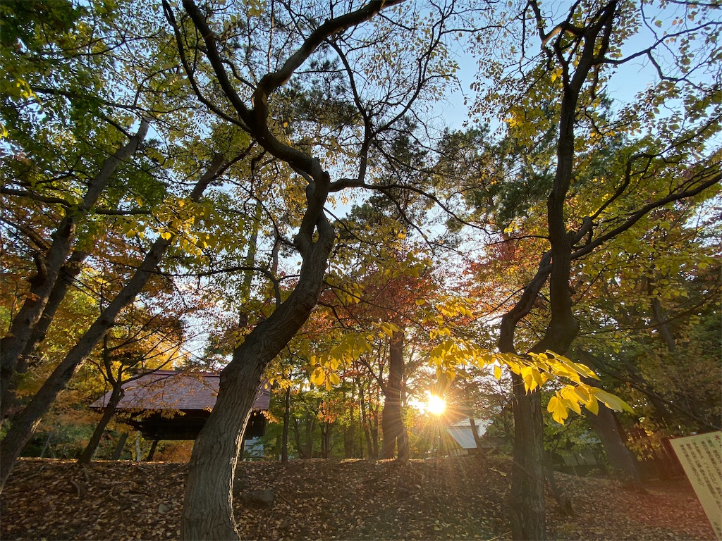 f:id:may_hula:20191029024905j:image f:id:may_hula:20191029024905j:image