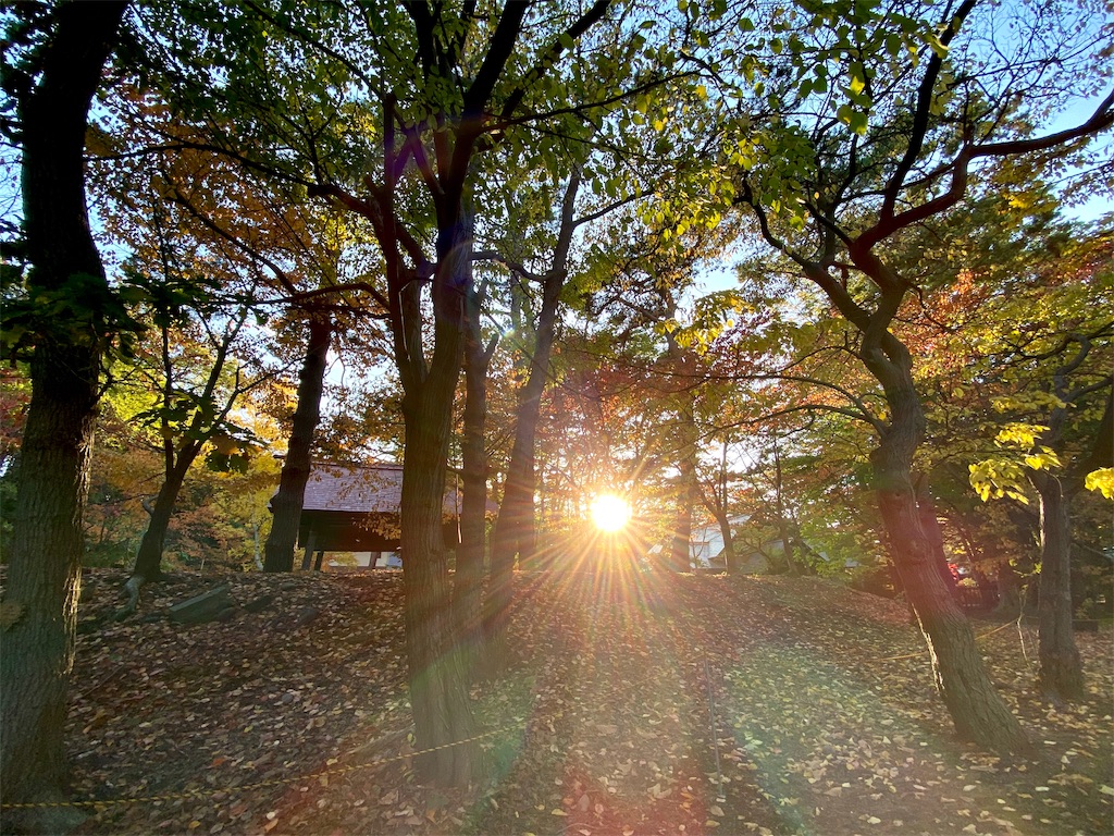 f:id:may_hula:20191029025843j:image f:id:may_hula:20191029025843j:image