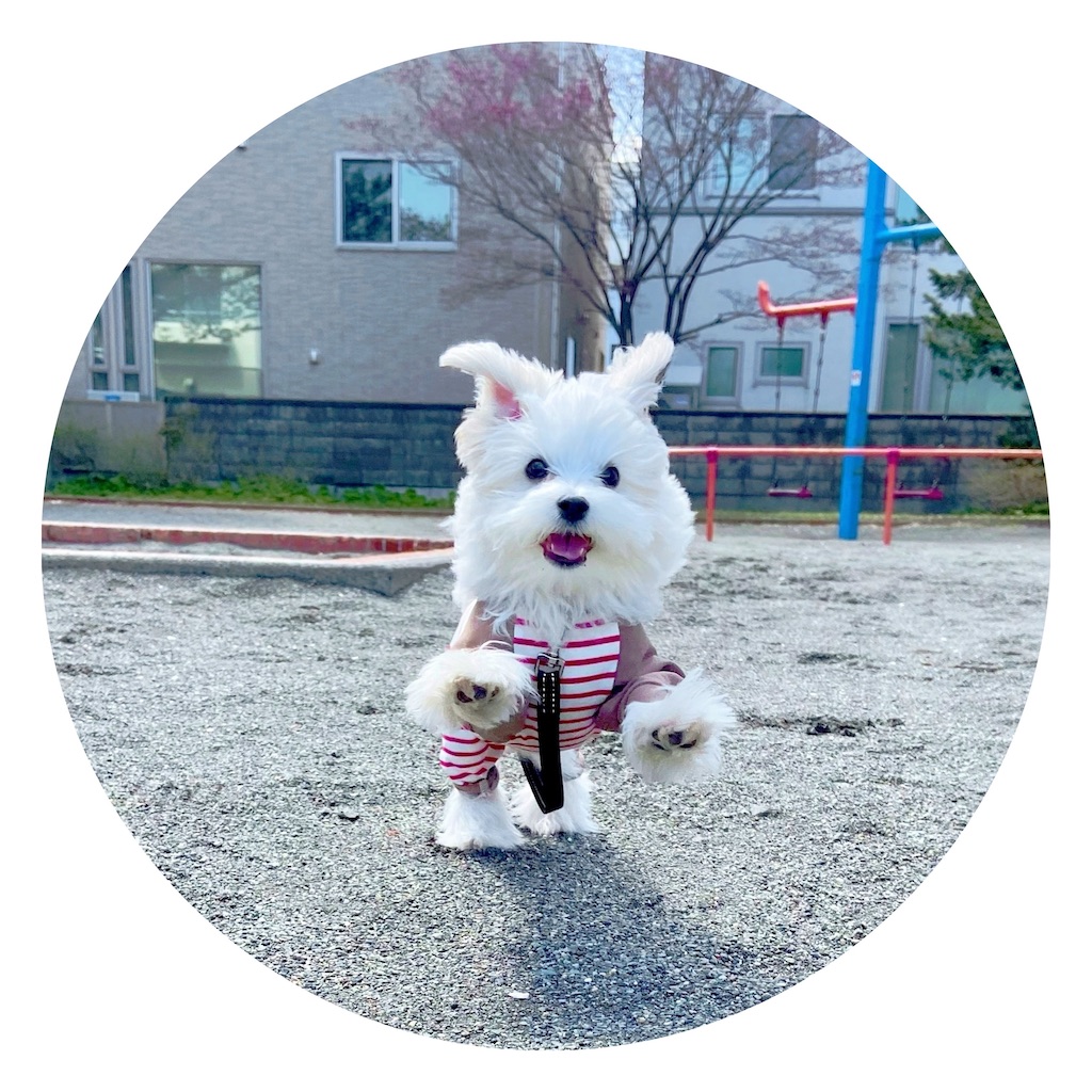 f:id:may_hula:20210620124216j:image