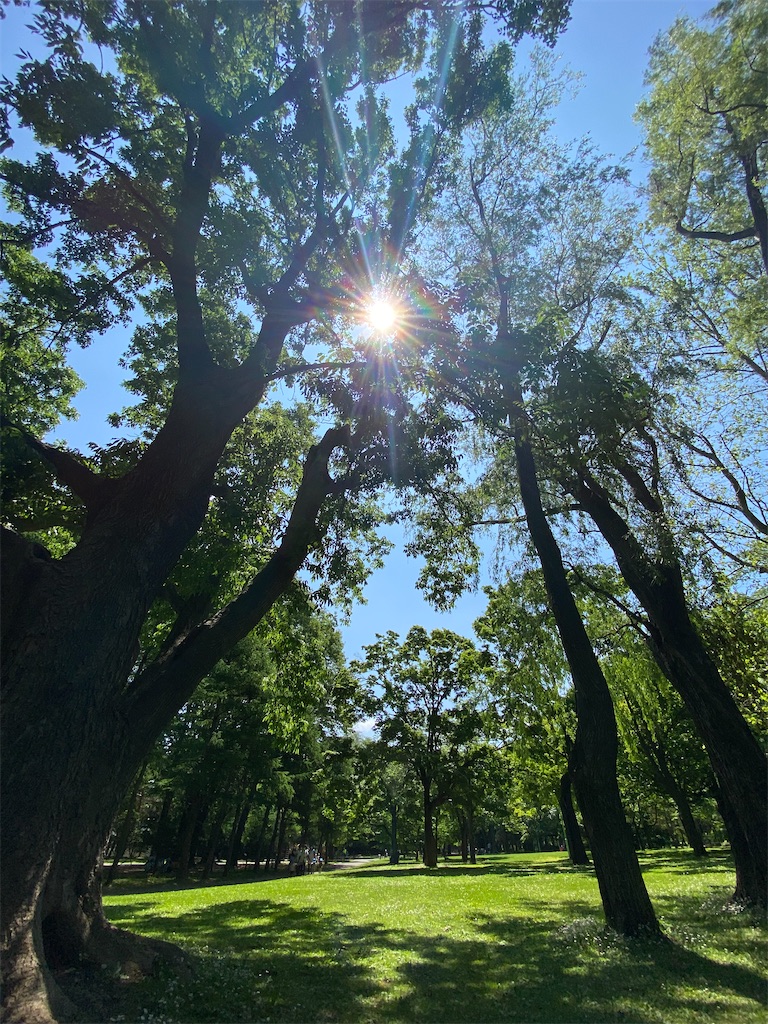 f:id:may_hula:20210620132126j:image