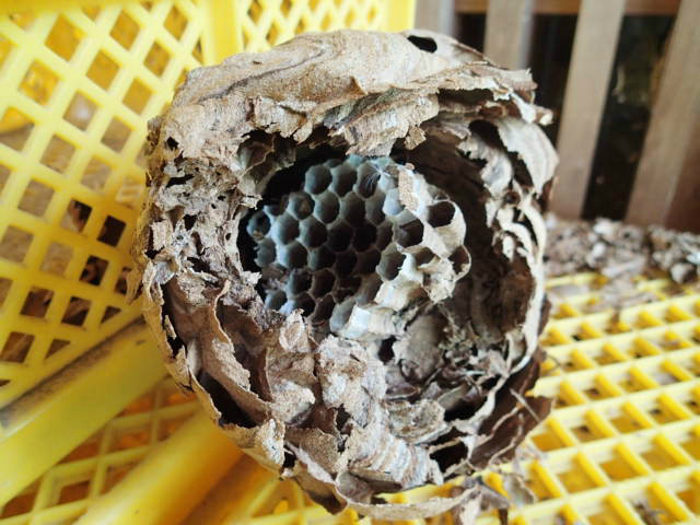 【コージ】薪用建築端材 端材で、薪ストーブの焚き付けを作る - あぐりんな暮らし