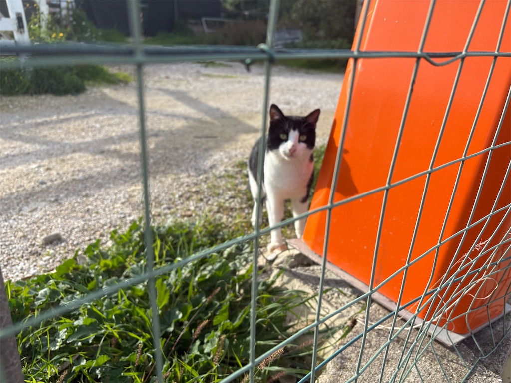 f:id:may_w_wine:20251205135315j:image