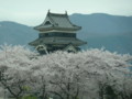 20120422110133