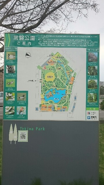 f:id:mayakalife:20200504201503j:image f:id:mayakalife:20200504201503j:image