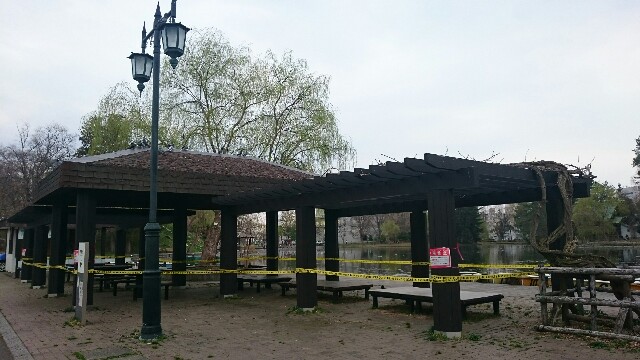 f:id:mayakalife:20200504201650j:image f:id:mayakalife:20200504201650j:image