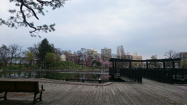 f:id:mayakalife:20200504201859j:image f:id:mayakalife:20200504201859j:image