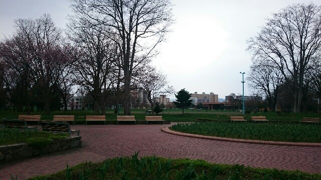 f:id:mayakalife:20200504201923j:image f:id:mayakalife:20200504201923j:image