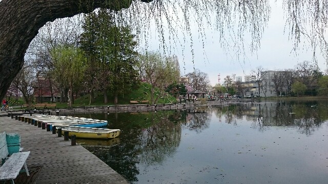 f:id:mayakalife:20200523221218j:image f:id:mayakalife:20200523221218j:image