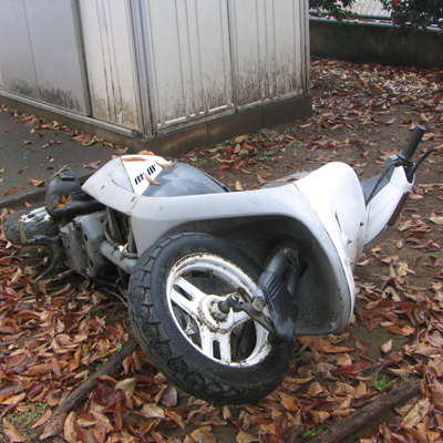 f:id:mayakasi:20131106080029p:image