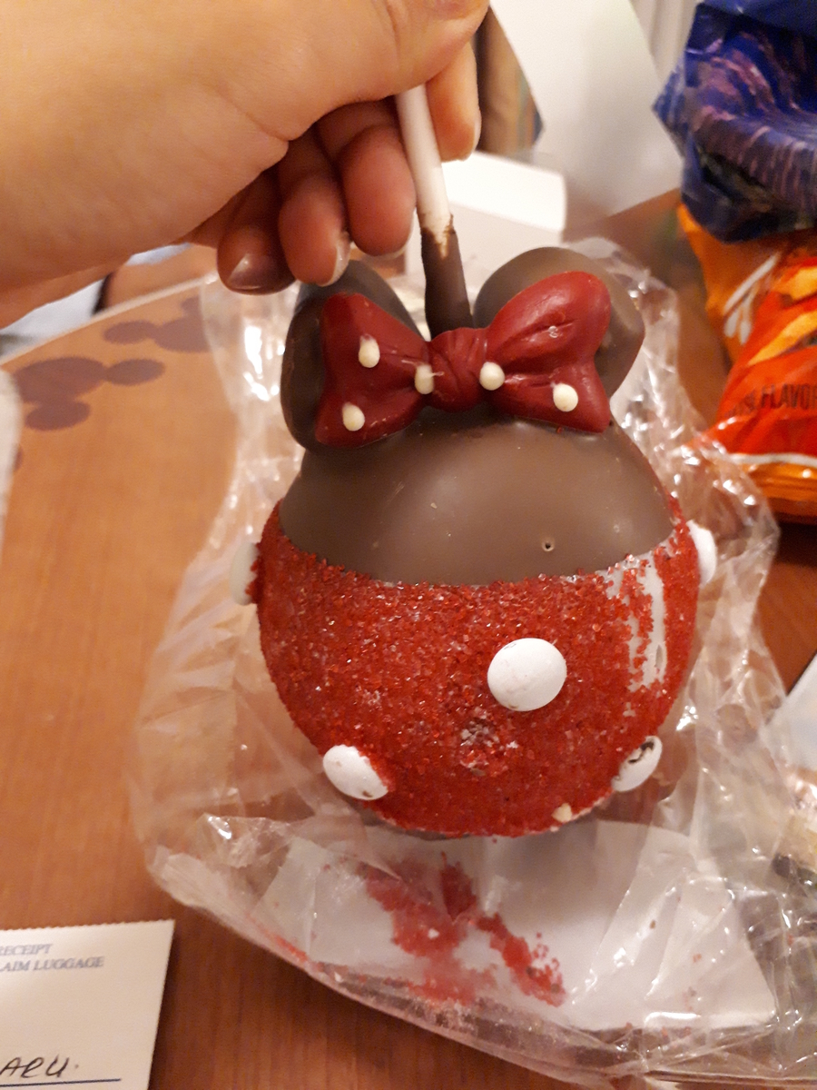 f:id:mayaminnie-love-disney:20210102164050j:plain