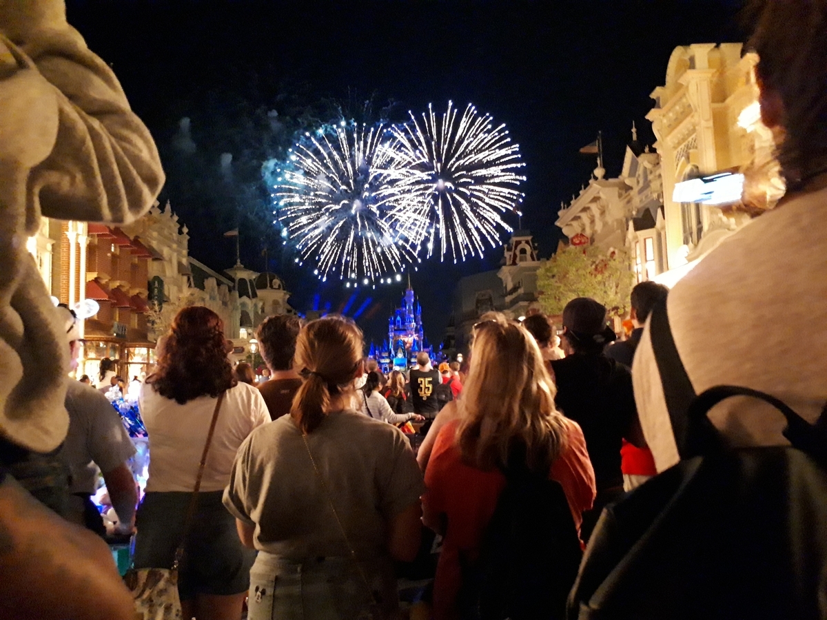 f:id:mayaminnie-love-disney:20210102164130j:plain