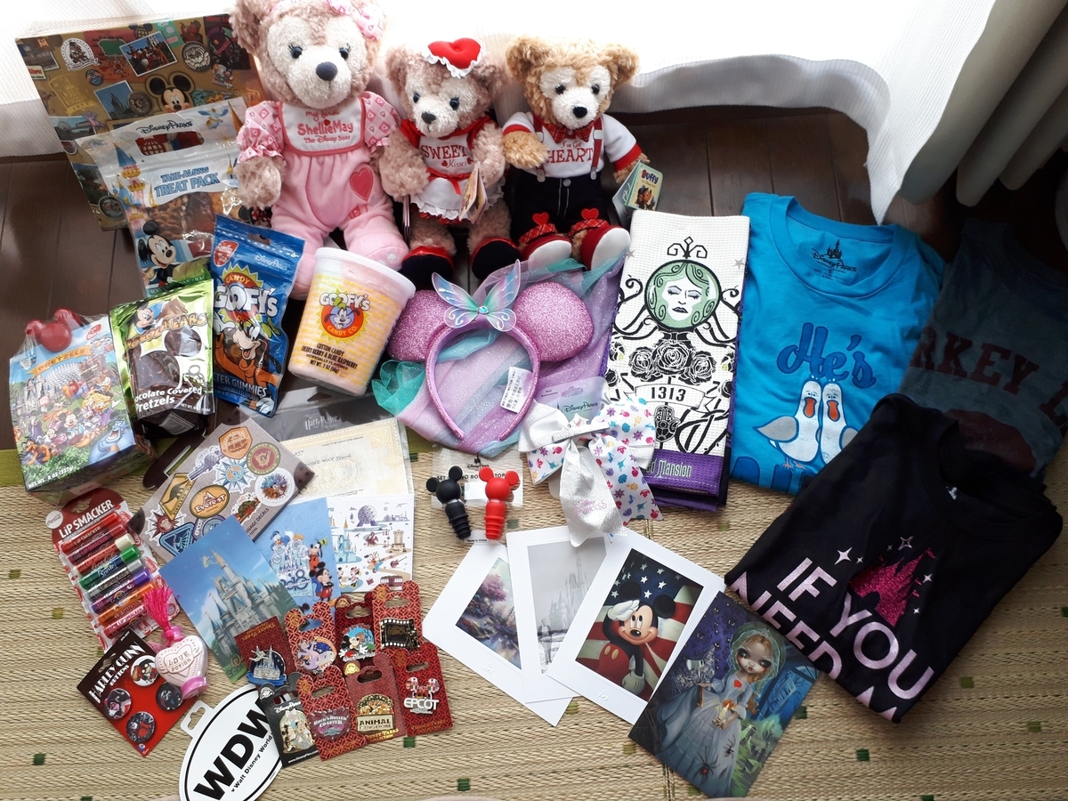 f:id:mayaminnie-love-disney:20210102170444j:plain