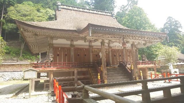 f:id:mayan555:20220524154615j:image