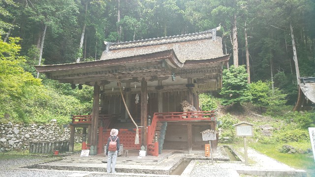 f:id:mayan555:20220524174051j:image